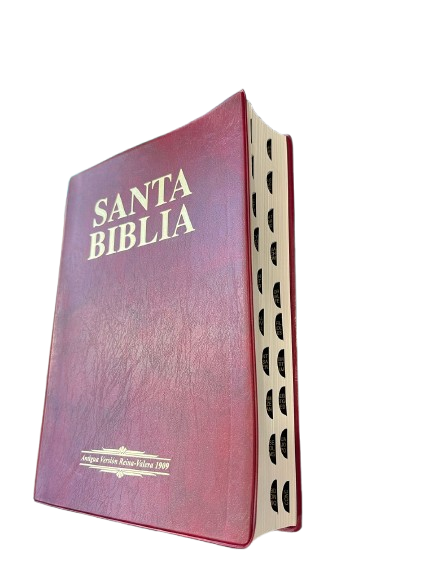 SANTA BIBLIA CON INDICE PASTA FLEXIBLE COLOR VINO