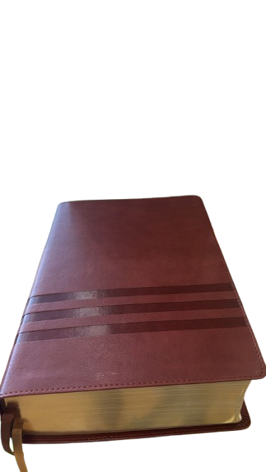 BIBLIA DE ESTUDIO TEOLOGIA BÍBLICA