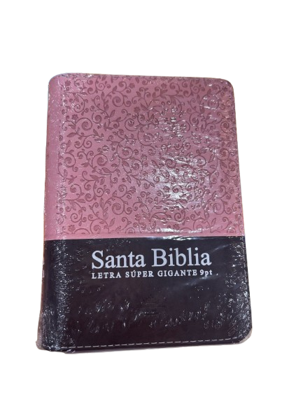 SANTA BIBLIA PEQUEÑA CON LETRA GRANDE