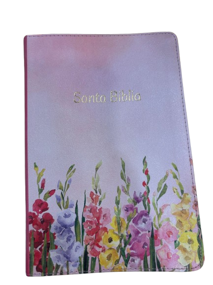 SANTA BIBLIA GRANDE ROSADA