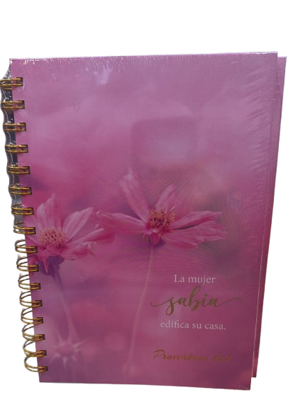 LA MUJER SABIA EDIFICA SU CASA