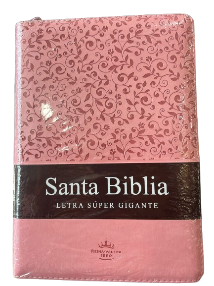 SANTA BIBLIA LETRA SUPER GRANDE