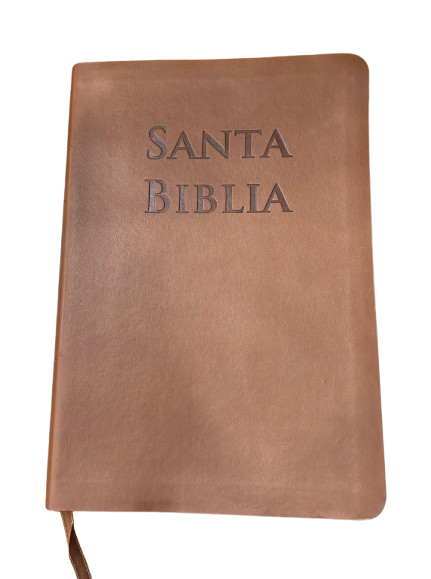 SANTA BIBLIA RVR PURIFICADA