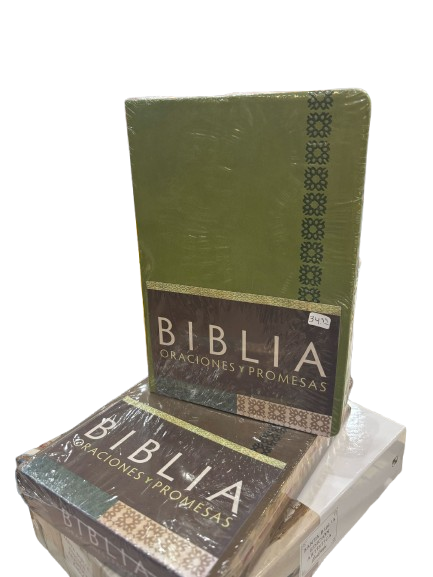 BIBLIA ORACIONES Y PROMESAS