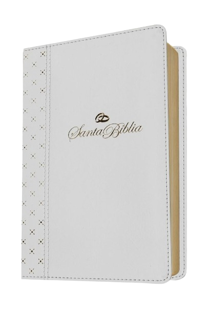 SANTA BIBLIA / NUEVA TRADUCCION VIVENTE / COLOR BLANCA / SIN INDICE