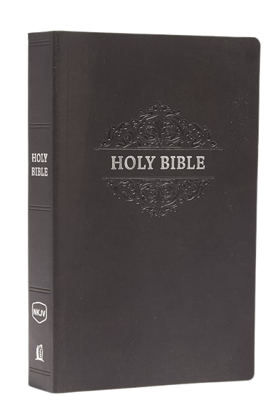 SANTA BIBLIA / EDICIÓN SUAVE AL TACTO