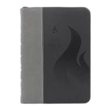 SANTA BIBLIA / LETRA GIGANTE