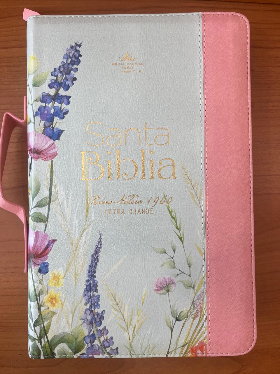 SANTABBIBLIA RV60 / LETRA GRANDE 12 PT