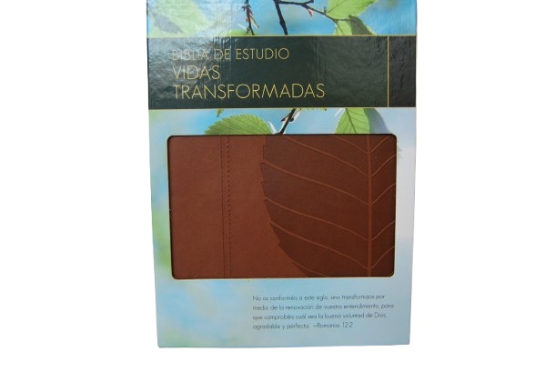 BIBLIA DE ESTUDIO VIDAS TRANSFORMADAS