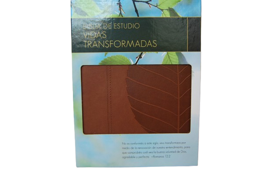 BIBLIA DE ESTUDIO VIDAS TRANSFORMADAS FILO DORADO, INDICE