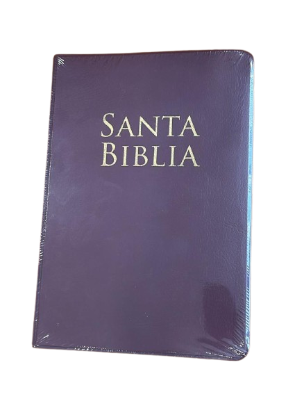 SANTA BIBLIA REINA VALERA REVISION 1960 COLOR NEGRO / VINO / ROSA