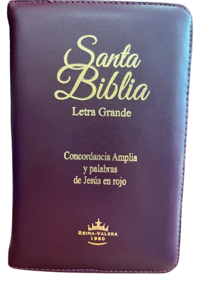 SANTA BIBLIA LETRA GRANDE COLOR ROJO Y NEGRO