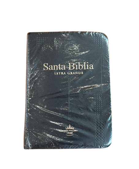 SANTA BIBLIA LETRA GRANDE(D)
