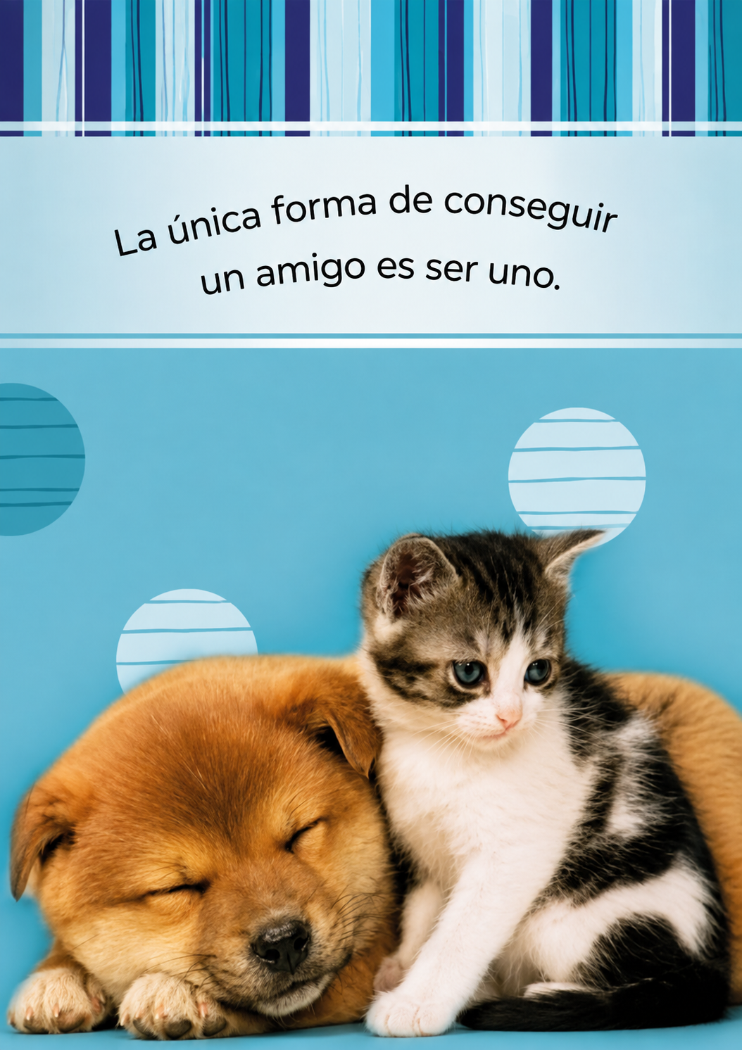 Libreta de notas con diseño de perrito y gatito / 40 páginas